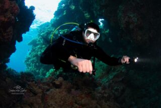 📍Church Bay 

Who doesn’t love a good swim through! 

#cyprus #discovercyprus #paphos #padi #paditravel #diving #scubadiving #underwaterphotography #adventure #olympusphotography #gopro #insta360 #scubaadventure #mediterranean #holidayadventure #familyfun #continuetheadventure #cydive #scubapro #scuba