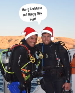 Merry Christmas from our family to yours! 

Wishing our incredible divers a Merry Christmas filled with joy, laughter, and underwater wonders! May the New Year bring you more thrilling dives and unforgettable moments. Here’s to another year of exploring the ocean together! 💙 

#cyprus #discovercyprus #paphos #padi #paditravel #diving #scubadiving #underwaterphotography #adventure #olympusphotography #gopro #insta360 #scubaadventure #mediterranean #holidayadventure #familyfun #continuetheadventure #cydive #scubapro #scuba #liveunfiltered