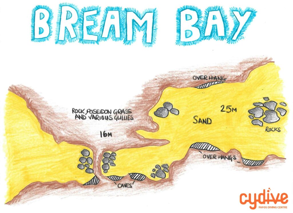 Bream Bay